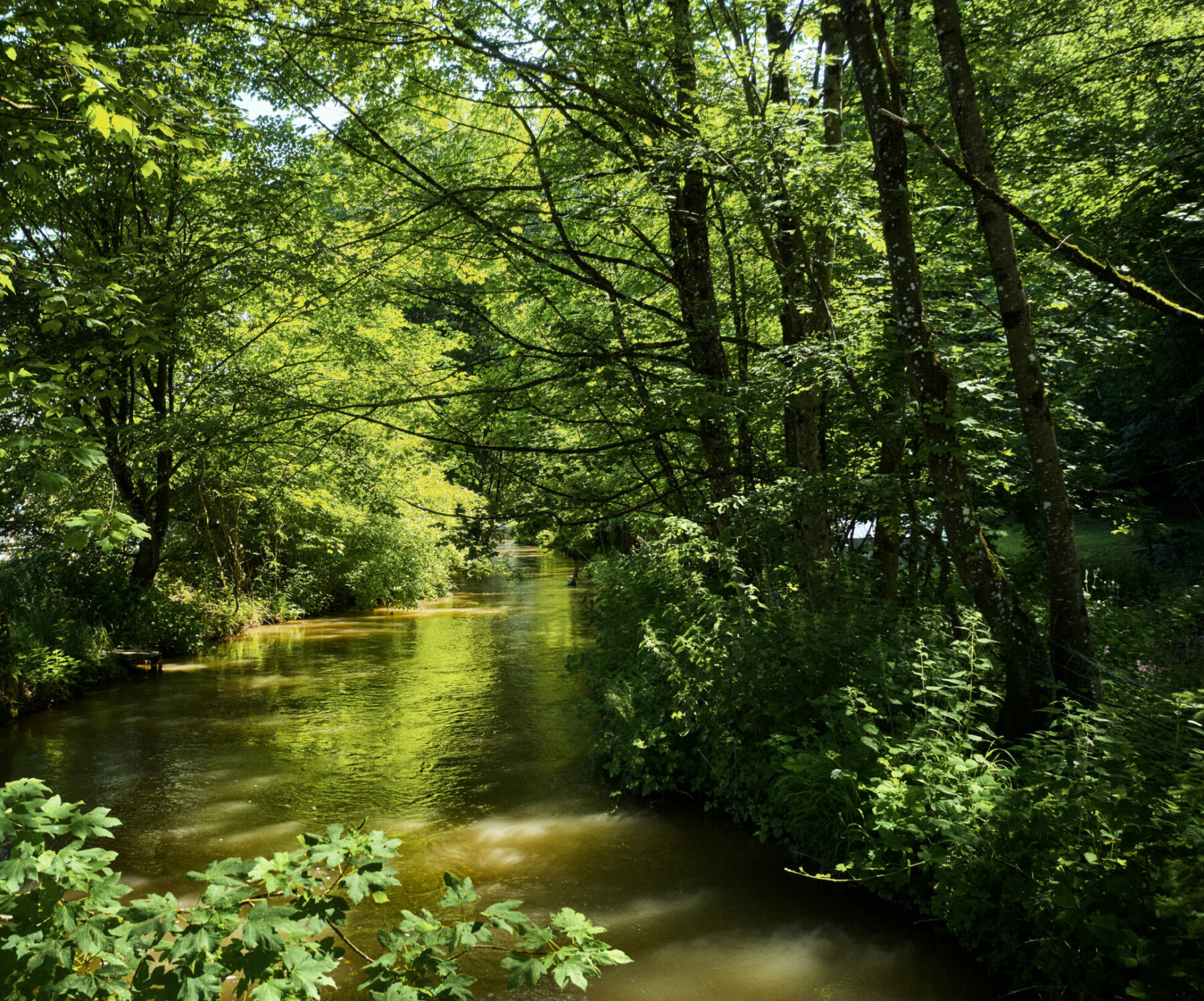 Luftaufnahme Kanal