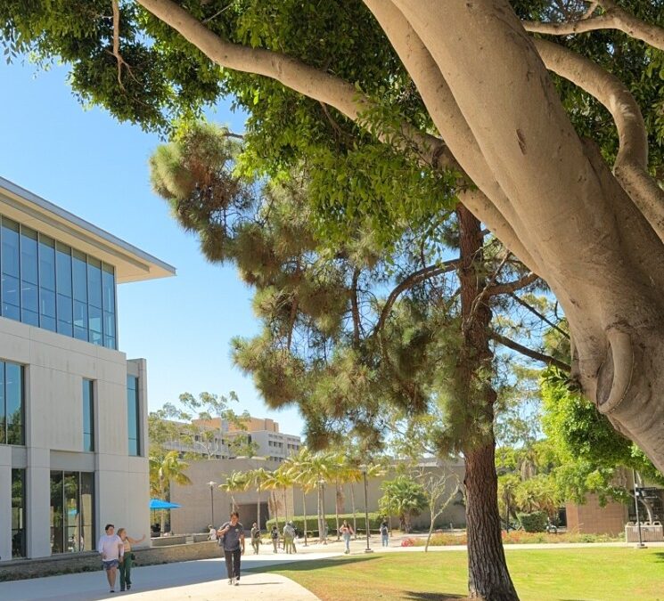 Auslandssemester in Kalifornien – Erlebnisse, die bewegen