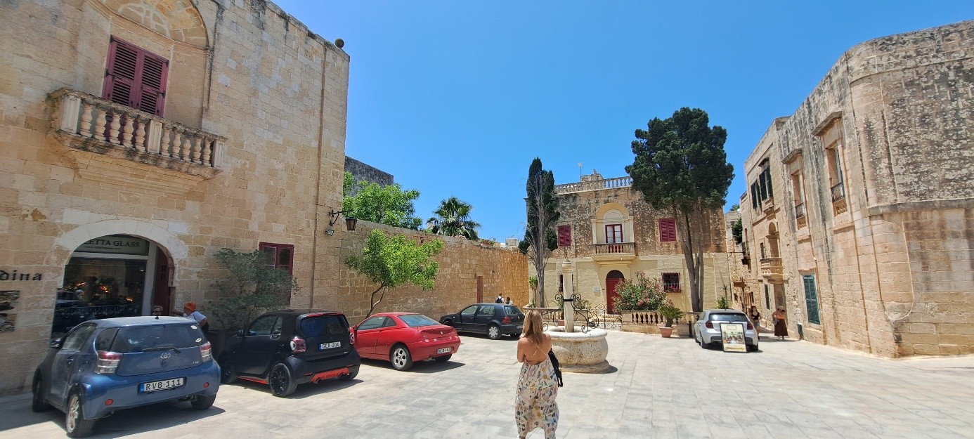 AWW_news_malta_Mdinaitel Mdina